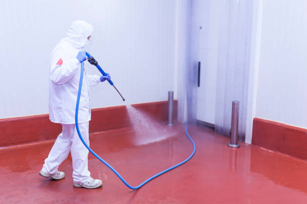 Best Factory Floor Cleaning  in South Houston, TX